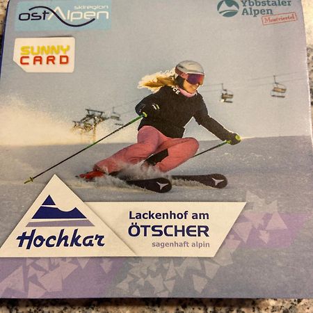 Ferienwohnung Im Nationalpark Gesaeuse Hieflau Екстериор снимка
