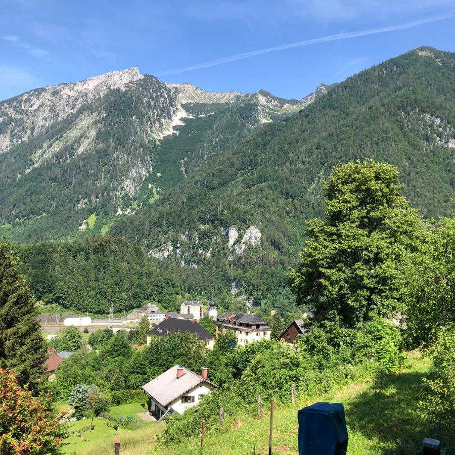 Ferienwohnung Im Nationalpark Gesaeuse Hieflau Екстериор снимка