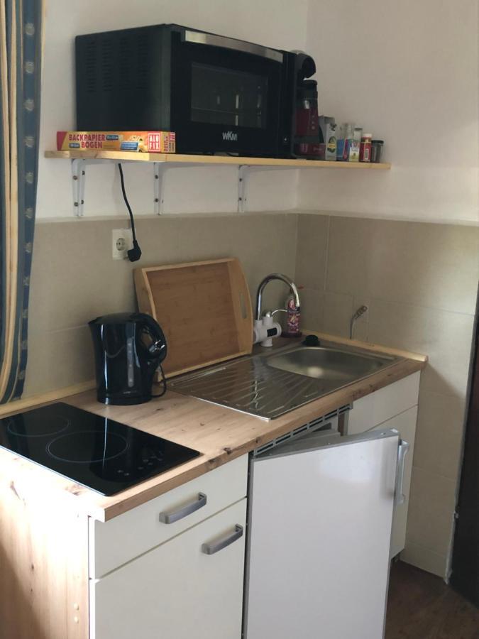 Ferienwohnung Im Nationalpark Gesaeuse Hieflau Екстериор снимка